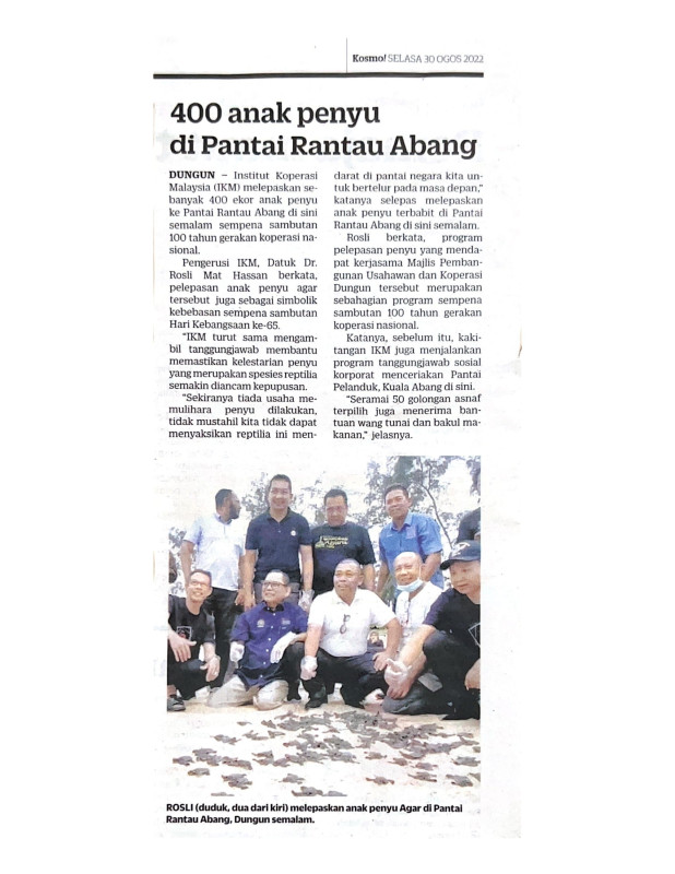 400-anak-penyu-1